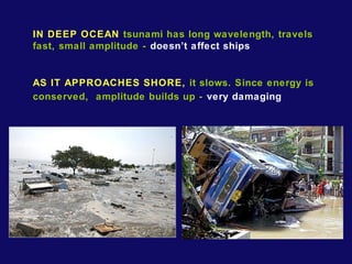 IN DEEP OCEAN tsunami has long wavelength, travels 
fast, small amplitude - doesn’t affect ships 
AS IT APPROACHES SHORE, it slows. Since energy is 
conserved, amplitude builds up - very damaging 
 