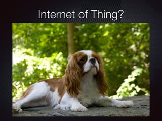 Internet of Thing?
 