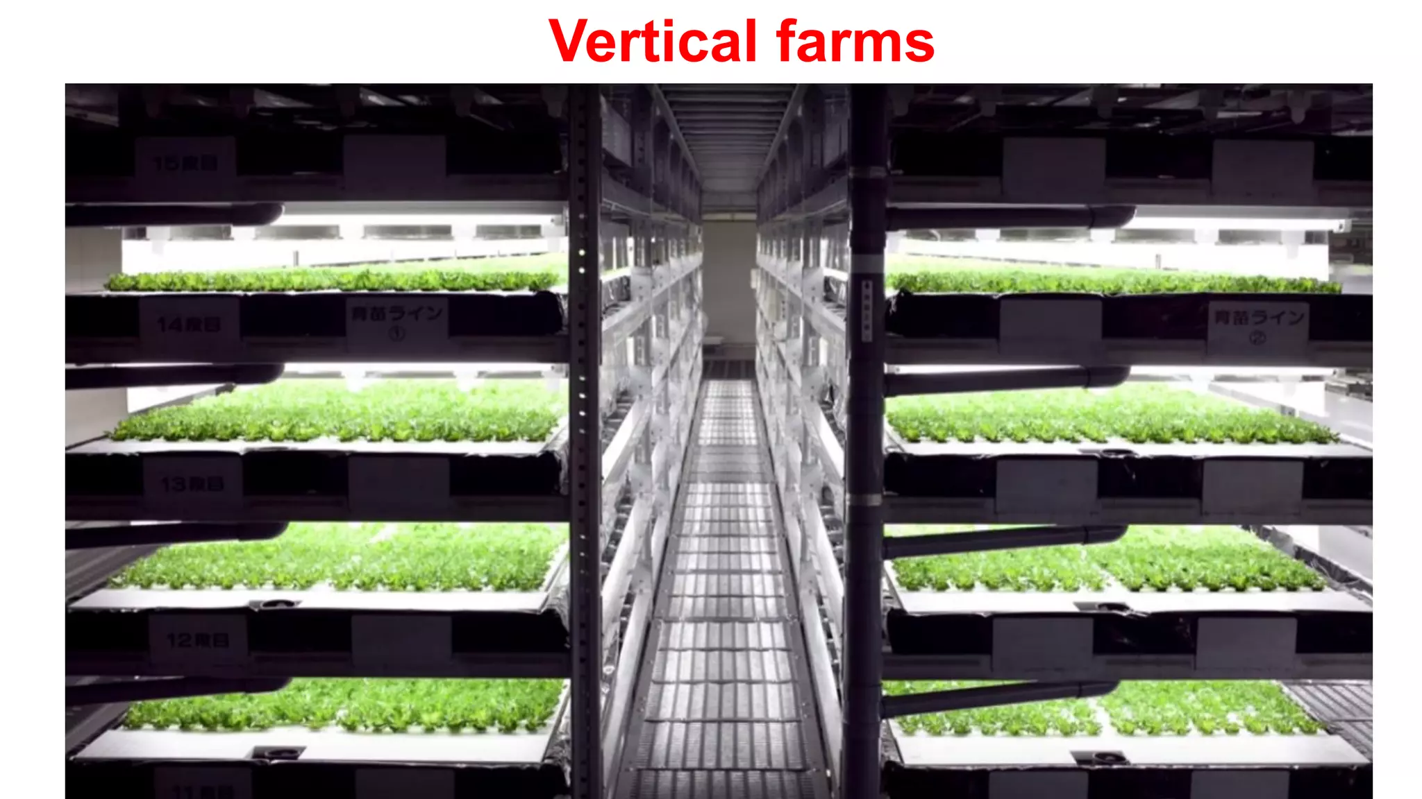 Vertical farms
 