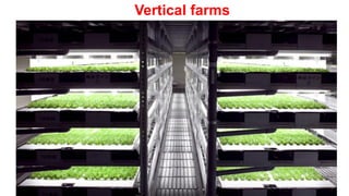 Vertical farms
 