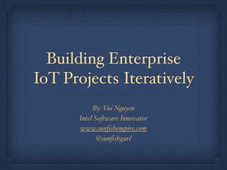 Building Enterprise
IoT Projects Iteratively
By: Vui Nguyen
Intel Software Innovator
www.sunﬁshempire.com
@sunﬁshgurl
 