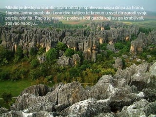 Mladić je dostojno ispratio oca a onda je spakovao svoju činiju za hranu,  štapiće, jednu preobuku i one dve kutijice te krenuo u svet da zaradi svoju  porciju pirinča. Radio je najteže poslove kod gazda koji su ga izrabljivali,  spavao napolju... 