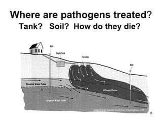 Where are pathogens treated ? Tank?  Soil?  How do they die? 