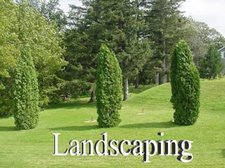 Landscaping 