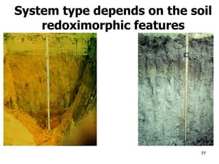 System type depends on the soil redoximorphic features 