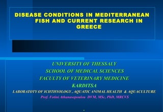 UNIVERSITY OF THESSALYUNIVERSITY OF THESSALY
SCHOOL OF MEDICAL SCIENCESSCHOOL OF MEDICAL SCIENCES
FACULTY OF VETERINARY MEDICINEFACULTY OF VETERINARY MEDICINE
KARDITSA
LABORATOTY OF ICHTHYOLOGY , AQUATIC ANIMAL HEALTHLABORATOTY OF ICHTHYOLOGY , AQUATIC ANIMAL HEALTH && AQUACULTUREAQUACULTURE
Prof. Fotini Athanasopoulou DVMProf. Fotini Athanasopoulou DVM,, MScMSc,, PhDPhD,, MRCVSMRCVS
.
DISEASE CONDITIONS IN MEDITERRANEAN
FISH AND CURRENT RESEARCH IN
GREECE
 