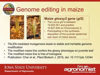An overview of agronomy departments capabilities, what is being doing in international agriculture