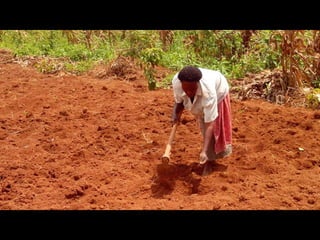 An overview of agronomy departments capabilities, what is being doing in international agriculture