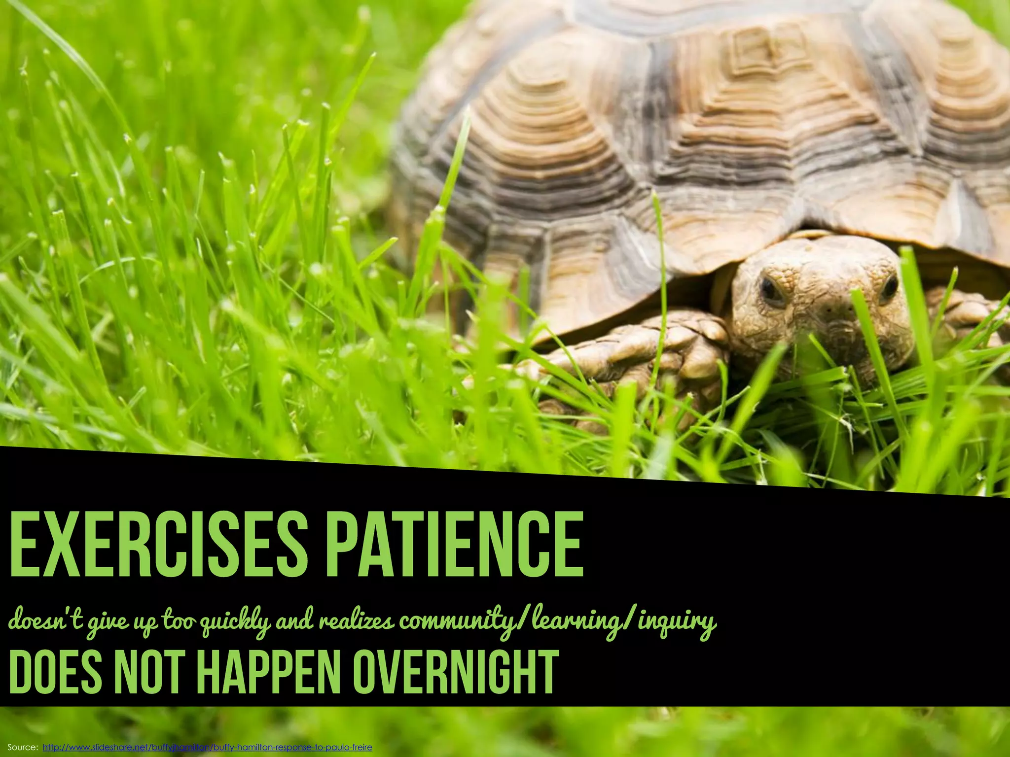 doesn't give up too quickly and realizes community/learning/inquiry



Source: http://www.slideshare.net/buffyjhamilton/buffy-hamilton-response-to-paulo-freire
 