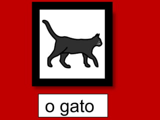 o gato
 