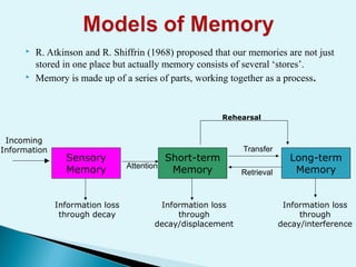 Information Processing Model and its implications in learning and ...