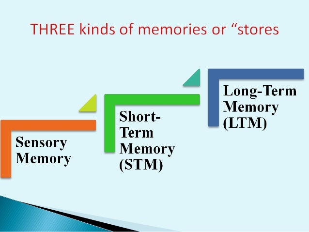 Image result for THREE KINDS OF MEMORIES OR STORES