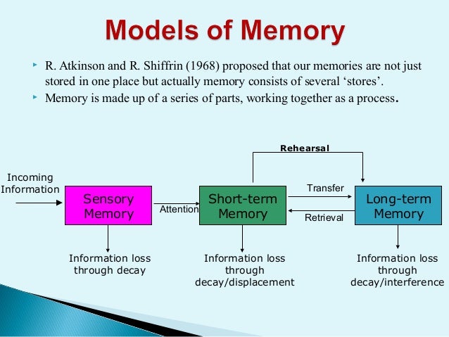 information processing model and its implications in information processing model