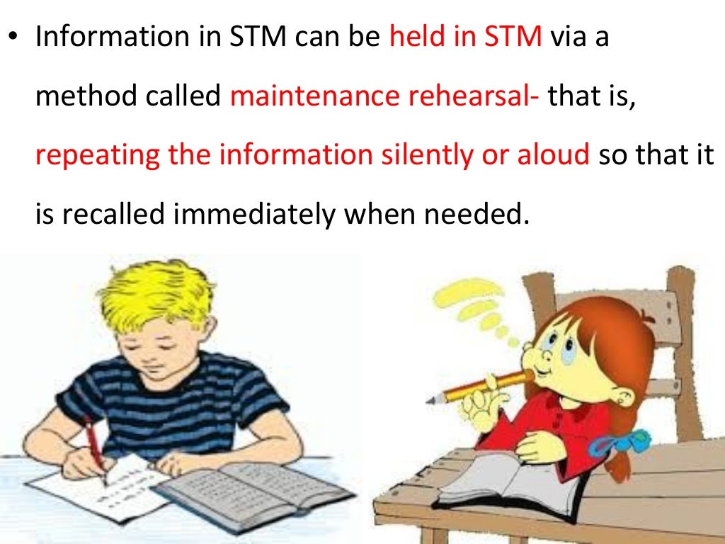cite a teaching implication of the information process