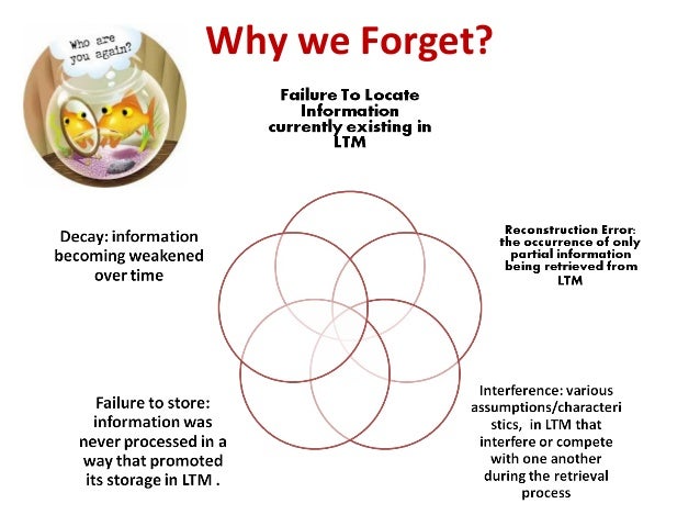 information processing model