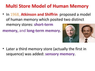Multi Store Model of Human Memory
• In 1968, Atkinson and Shiffrin proposed a model
of human memory which posited two distinct
memory stores: short-term
memory, and long-term memory.
• Later a third memory store (actually the first in
sequence) was added: sensory memory.
 