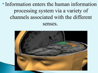 Information enters the human information
processing system via a variety of
channels associated with the different
senses.
 