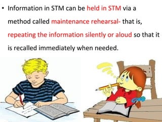 • Information in STM can be held in STM via a
method called maintenance rehearsal- that is,
repeating the information silently or aloud so that it
is recalled immediately when needed.
 