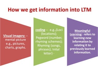 How we get information into LTM
 