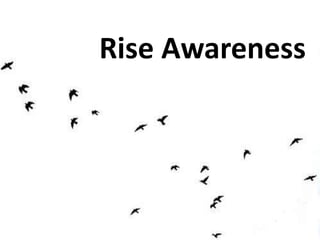 Rise Awareness
 