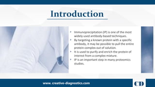 Immunoprecipitation (IP) - Creative Diagnostics | PPT