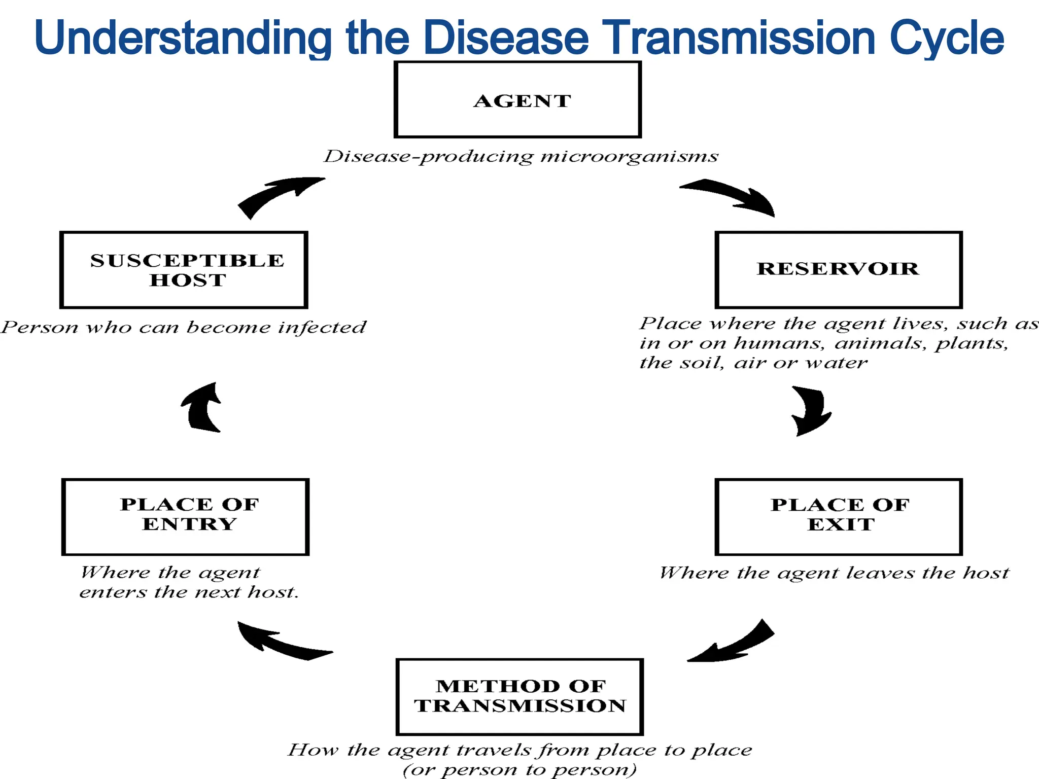 10
Understanding the Disease Transmission Cycle
 