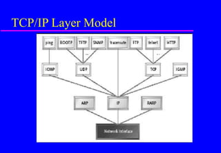 TCP/IP Layer Model
 