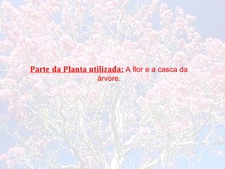 Parte da Planta utilizada:  A flor e a casca da árvore. 