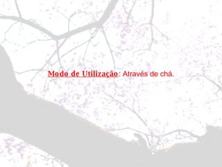 Modo de Utilização : Através de chá. 