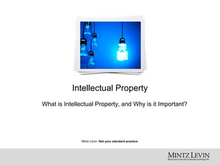 Mintz Levin. Not your standard practice.
Intellectual Property
What is Intellectual Property, and Why is it Important?
 