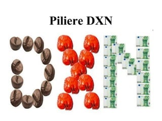 Piliere DXN
 