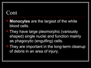 Cont
 Monocytes are the largest of the white
blood cells.
 They have large pleomorphic (variously
shaped) single nuclei and function mainly
as phagocytic (engulfing) cells.
 They are important in the long-term cleanup
of debris in an area of injury.
 