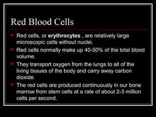 Red Blood Cells
 Red cells, or erythrocytes , are relatively large
microscopic cells without nuclei.
 Red cells normally make up 40-50% of the total blood
volume.
 They transport oxygen from the lungs to all of the
living tissues of the body and carry away carbon
dioxide.
 The red cells are produced continuously in our bone
marrow from stem cells at a rate of about 2-3 million
cells per second.
 