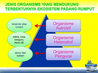 tanaman atau   Organisme
   rumput
                Autrotof
zebra, rusa,
 kanguru,
               Organisme
 bison dll.    Heterotrof

  jamur dan    Organisme
    bakteri     Pengurai
 