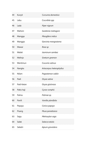 44 Kunyit Curcuma domestica
45 Labu Cucurbita spp
46 Lada Piper nigrum
47 Mahoni Swietenia mahagoni
48 Mangga Mangifera indica
49 Manggis Garcinia mangostama
50 Mawar Rosa sp
51 Melati Jasminum sambac
52 Melinjo Gnetum gnemon
53 Mentimun Cucumis sativus
54 Nangka Artocarpus heterophyllus
55 Nilam Pogostemon cablin
56 Padi Oryza sativa
57 Padi Ketan Oryza glutinosa
58 Pakis haji Cycas rumphii
59 Palma Palmae sp.
60 Panili Vanilla planifolia
61 Pepaya Carica papaya
62 Pisang Musa paradisiaca
63 Sagu Metroxylon sago
64 Salak Salacca edulis
65 Seledri Apium graviolens
 