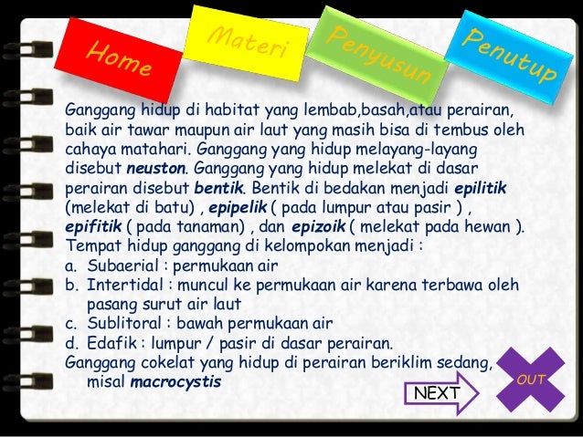 Protista Materi SMA kelas X