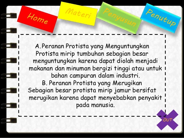 Menguntungkan Dan Merugikan Protista Tentang Kolam Kandang Ternak