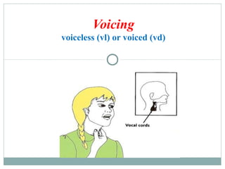 Voicing
voiceless (vl) or voiced (vd)
 