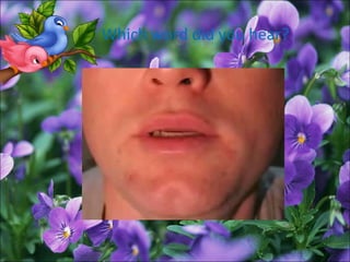 Which word did you hear?
 