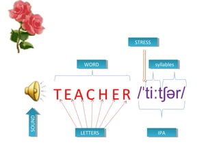 SOUNDSOUND
LETTERSLETTERS
WORDWORD
/ ti t ər/ˈ ː ʃ
IPAIPA
TEA C H ER
syllablessyllables
STRESSSTRESS
 