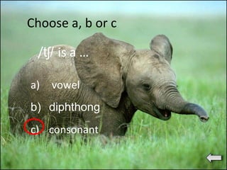 /t /ʃ is a …
Choose a, b or c
a) vowel
b) diphthong
c) consonant
 
