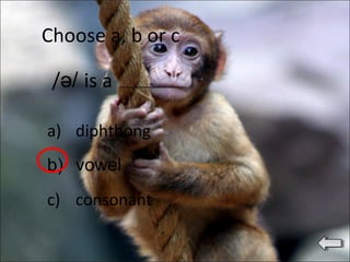 /ə/ is a
Choose a, b or c
a) diphthong
b) vowel
c) consonant
 