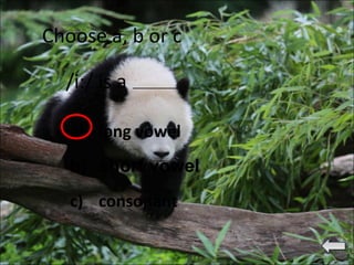 /i:/ is a
Choose a, b or c
a) long vowel
b) short vowel
c) consonant
 