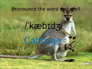 Pronounce the word and spell
/’kæb d /ɪ ʒ
Cabbage
 