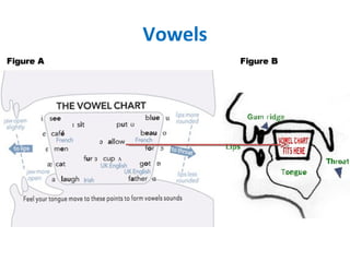 Vowels
 