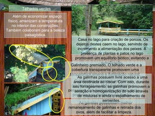 Casa no lago para criação de porcos. Os
dejetos destes caem no lago, servindo de
incremento a alimentação dos peixes. A
presença de plantas e patos no lago
promovem um equilíbrio biótico, evitando a
eutrofização.
Telhados verdes
Além de economizar espaço
físico, amenizam a temperatura
no interior das construções.
Também colaboram para a beleza
paisagística.
Galinheiro premiado. O telhado verde e a
cobertura transparente promovem uma
temperatura amena e iluminação natural.
As gavetas possibilitam melhor
remanejamento de galinhas e retirada dos
ovos, além de facilitar a limpeza.
O galinheiro suspenso permite um
gradeamento no chão que permite a
passagem dos dejetos dos animais para
posterior uso destes na adubação.
As galinhas possuem livre acesso a uma
área destinada ao ciscar. Com isso, durante
seu forrageamento, as galinhas promovem a
aeração e homogeinização do solo através
de misturas e ainda o espalhamento de
sementes.
 