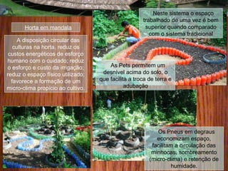 A disposição circular das
culturas na horta, reduz os
custos energéticos de esforço
humano com o cuidado; reduz
o esforço e custo da irrigação;
reduz o espaço físico utilizado;
favorece a formação de um
micro-clima propício ao cultivo.
Horta em mandala
Neste sistema o espaço
trabalhado de uma vez é bem
superior quando comparado
com o sistema tradicional
As Pets permitem um
desnível acima do solo, o
que facilita a troca de terra e
adubação
Os Pneus em degraus
economizam espaço,
facilitam a circulação das
minhocas, sombreamento
(micro-clima) e retenção de
humidade.
 