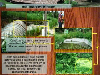 BSI – Biosistema Integrado
Além de biodigestor, esse sistema
aproveita tanto o gás metano, como
os resíduos sólidos, como também os
efluentes resultantes do processo,
sendo, por isso, denominado
Biosistema Integrado.
Canalização e armazenamento de
gás metano. 90% do gás utilizado no
IPA em cozinha e veículos provém
daqui.
 