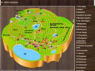 1 Torre Sede
2 Galpao
3 Refeitorio
4 Auditorio de aulas
5 Mandala aquatica
6 Lab. Alevinagem
7 Meliponário
8 Dormitorios
9 Minhocarios
10 Lab. Ração
11 Chocadeira
12 Biodigestor
14 Banheiro
Compostavel
15 Animais de grande
porte
16 Porcolandia
17 Aprisco
18 Composto
19 Patolandia
20 Galinheiro
21 Codornario
22 Coelhario
12
Castanheiras,
Cacau,
Guaraná, Café, etc
 