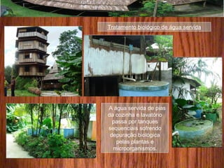 Tratamento biológico de água servida
A água servida de pias
da cozinha e lavatório
passa por tanques
sequenciais sofrendo
depuração biológica
pelas plantas e
microorganismos.
 